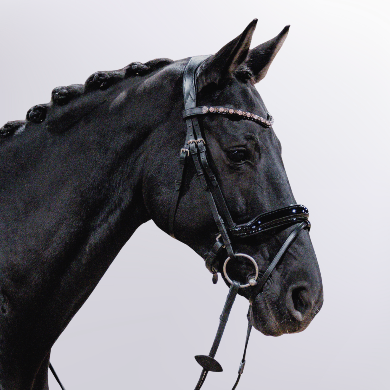 Bridle Uta Gräf Full