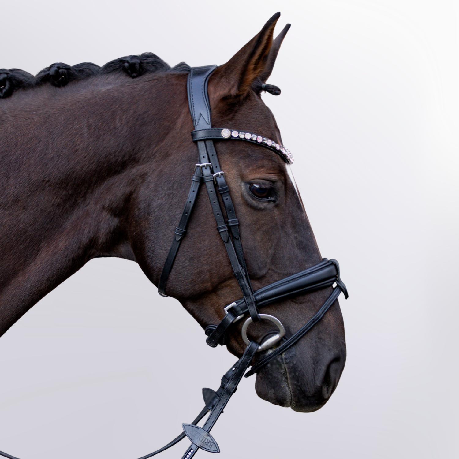Bridle Supreme