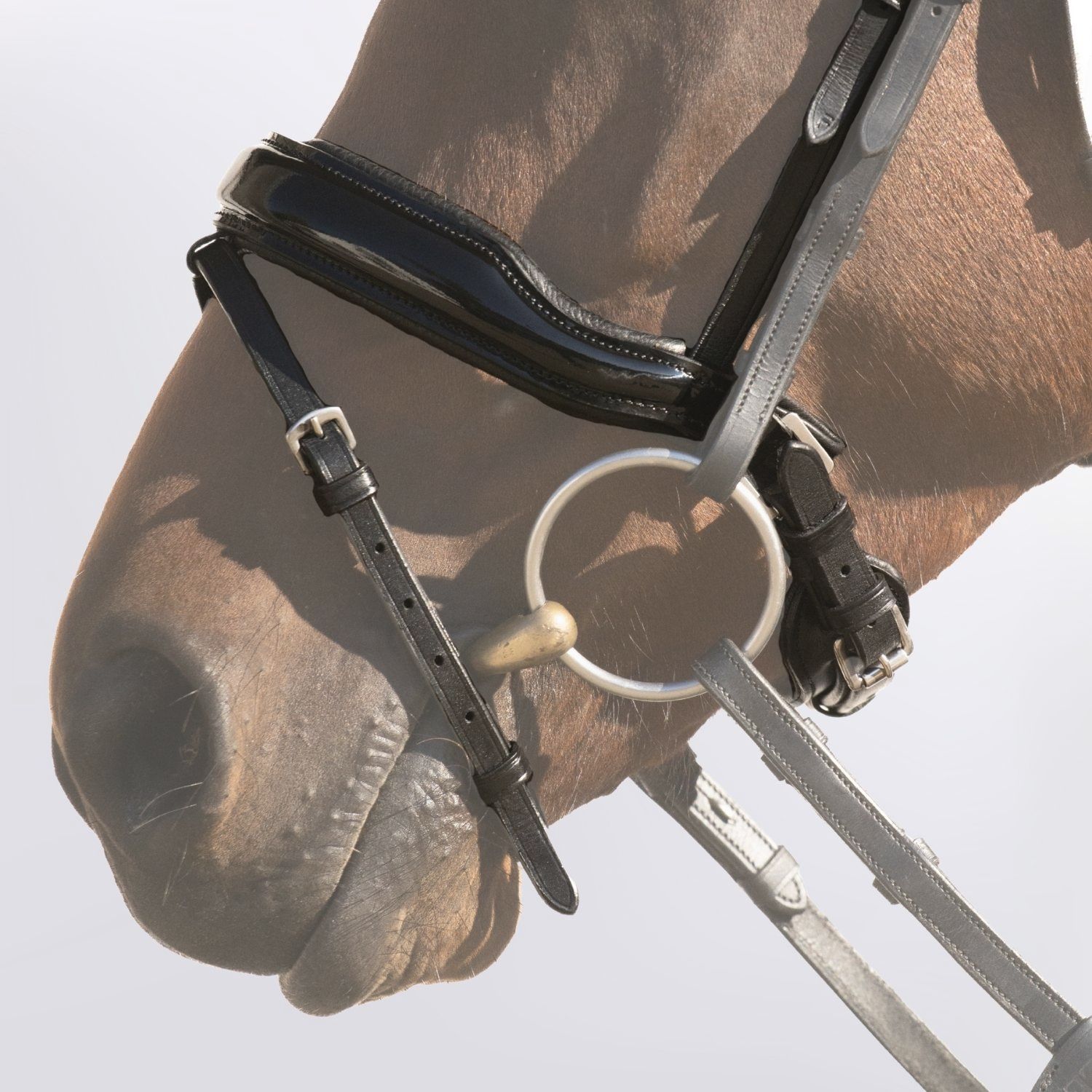 Noseband Lunea  Cob Patent