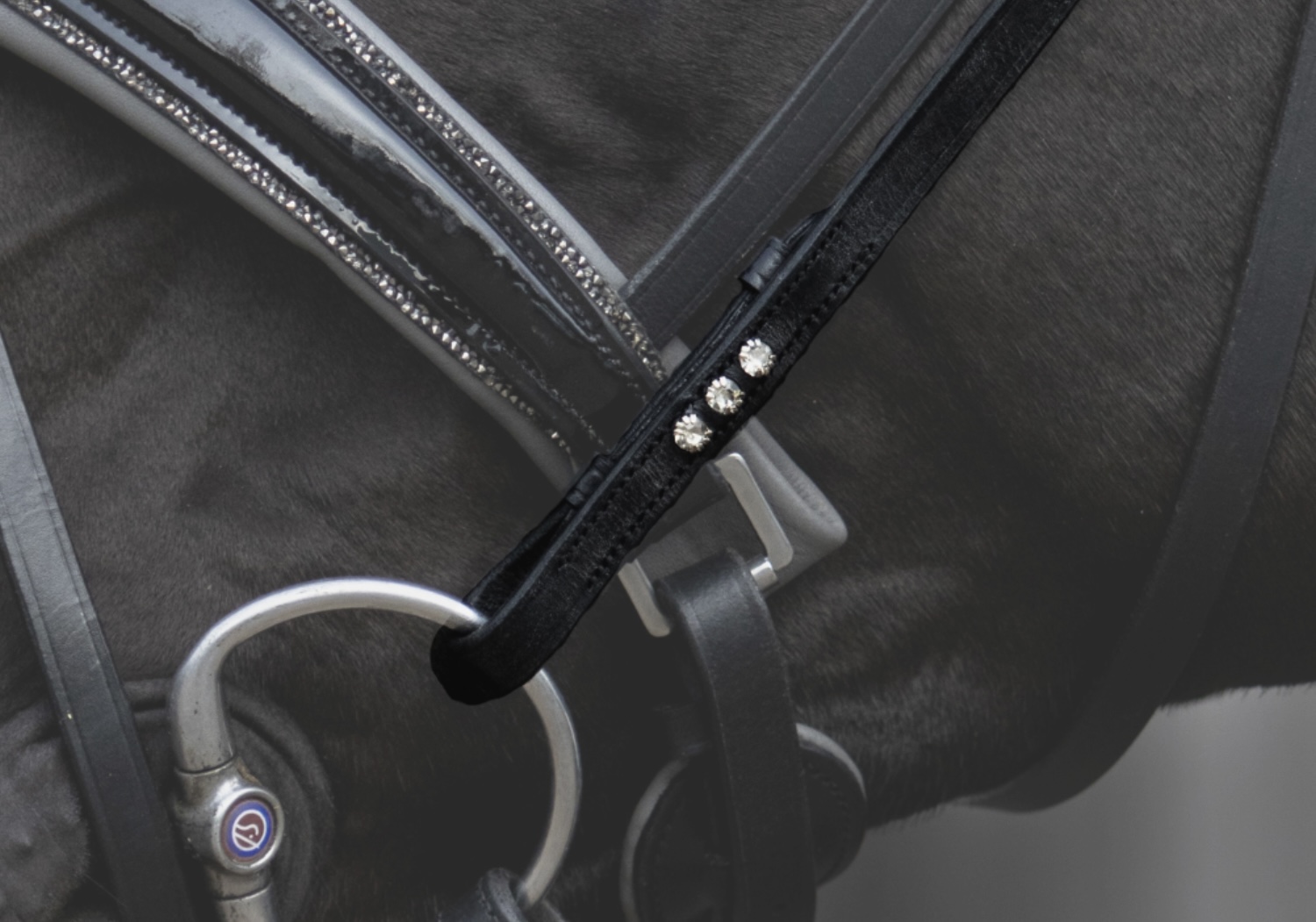 Cheek Pieces Charm with crystals