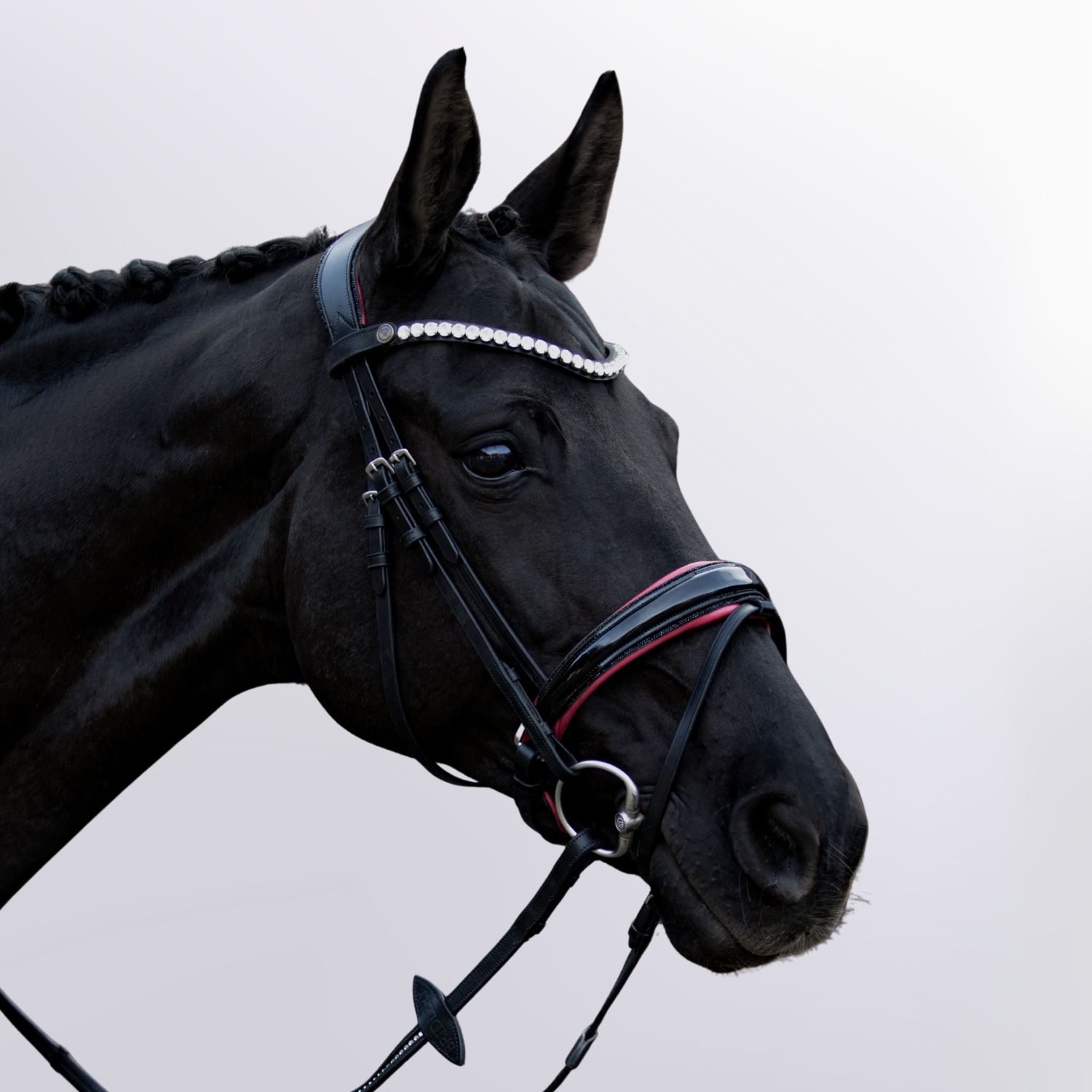 Noseband Uta Gräf
