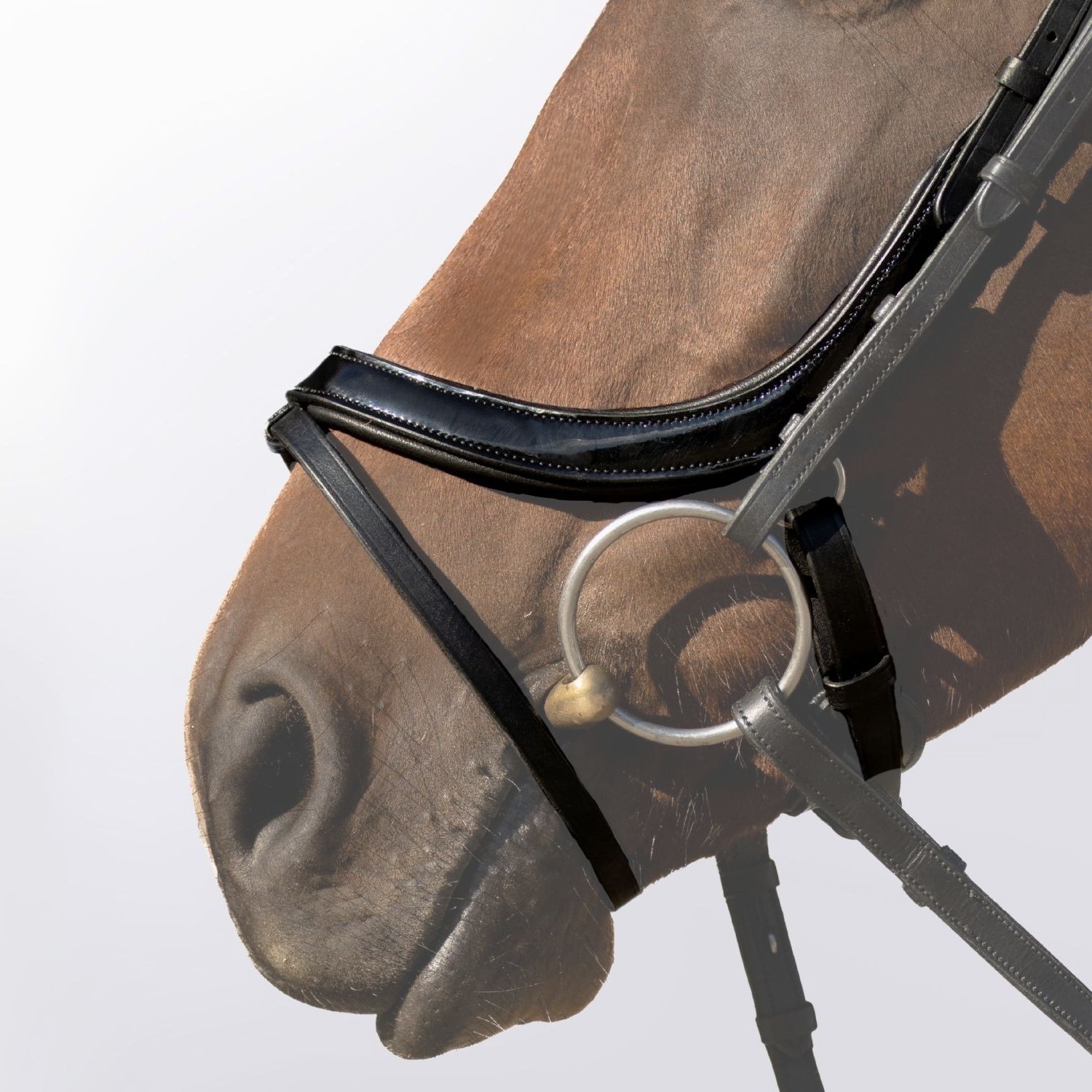 Noseband Freedom full black patnet